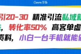 日引20-30精准粉私域引流玩法 小白可做高转化高客单虚拟资料