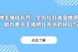 金牌带货主播成长营教程 从入门到精通掌握直播带货核心技能