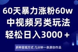 中视频另类涨粉变现玩法 60天涨粉60万附完整实操教程
