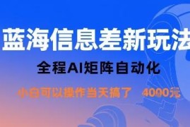 蓝海信息差AI矩阵自动化玩法 新手可操作单日收益可达千元
