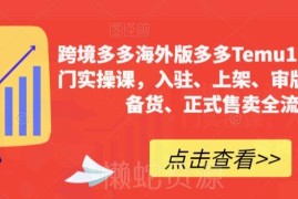 Temu跨境电商12天实操入门课 从入驻到售卖全流程详解