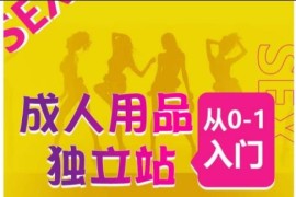 成人用品独立站0-1入门指南 运营全流程及高销量站点推荐