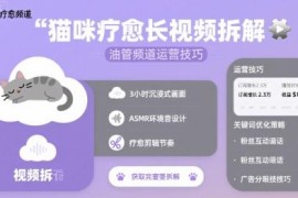 猫咪疗愈长视频案例拆解 油管YPP频道运营实用技巧分享
