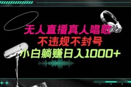 抖音24小时无人音乐直播玩法 防违规撸音浪小白实操教程