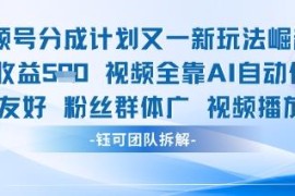视频号分成计划AI生成内容新玩法 可复制单日收益超600元