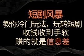短剧推广冷门私域玩法解析 避开内卷实操变现全流程指南