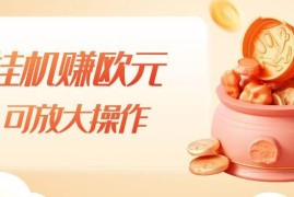挂机赚欧元实操方法分享 单窗口日入5-10欧元小白可放大操作