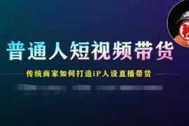 普通人与传统商家短视频带货指南 IP打造与直播带货实操技巧
