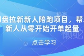网盘拉新新人陪跑项目全攻略 零基础入门掌握方法快速开单起量