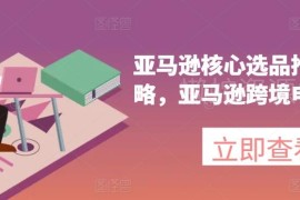 亚马逊跨境电商选品推广实操攻略 从选款到运营全流程教程
