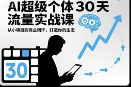 AI超级个体30天流量实战课 从小项目到商业闭环打造个人发展生态