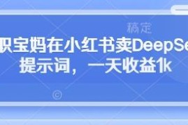 全职宝妈小红书售卖DeepSeek提示词 单日收益超千元项目拆解