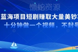 国内短剧出海TikTok赚美金实操 十分钟制作推广视频教程