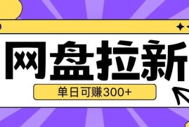 2024最新UC网盘拉新2.0玩法 云机操作无需真机单日创收攻略