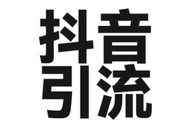 2025年抖音引流实操方法 单视频配文案单日可引300+创业粉