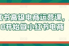 小红书电商运营入门系统课 从零掌握开店选品到起店全流程