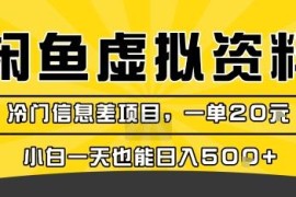 闲鱼虚拟资料变现冷门项目拆解 小白零成本操作可获稳定额外收入