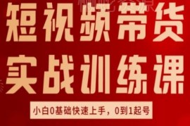 0基础短视频好物带货实操课 从起号到运营全流程教学