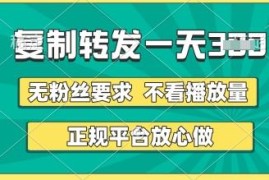 正规种草视频代发项目 无粉丝播放量要求 随时随地赚收益