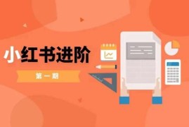 小红书零基础小白进阶实战课 从起号到运营变现全流程教程