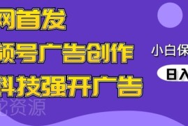 2024最新视频号广告创作实操玩法 AI制视频低门槛新手可落地