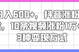 2024抖音涨粉实操技巧 10条视频涨粉万+附3种变现方法教学