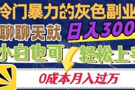 零成本冷门聊天类副业实操教程 低门槛可落地月入过万方法拆解