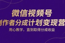 微信视频号创作者分成计划教学 从0到1掌握涨粉变现全流程