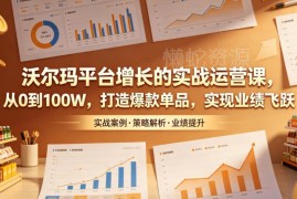 沃尔玛平台实战运营课程 从0到1打造爆款单品提升店铺业绩