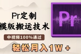 Pr定制模板搬运中视频过审技巧 新手易上手多平台可变现