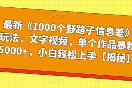 1000个野路子信息差文字视频玩法 新手零门槛单条作品涨粉5000+