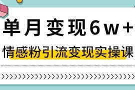 抖音情感粉引流变现实操课 小白可上手的单月增收玩法详解