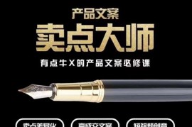 高转化电商产品文案必修课 卖点挖掘与短视频创意提升教程