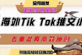 海外TikTok小说推文项目玩法详解 零成本高转化副业实操指南