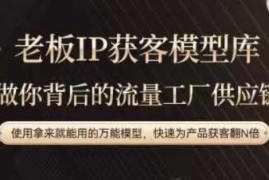 老板IP流量运营万能模型 精简操作快速提升产品获客效率