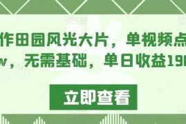 零基础制作AI田园风光短视频 高赞账号变现玩法拆解