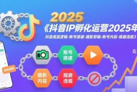 2025年抖音IP孵化运营教程 含底层逻辑账号搭建剪辑全流程