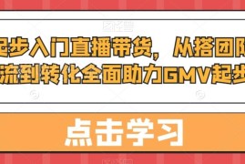 从零入门直播带货全攻略 团队搭建引流转化全流程教学