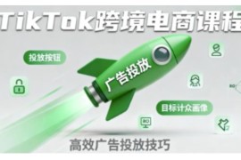 TikTok跨境电商全流程实操课 掌握核心运营技能高效开展业务