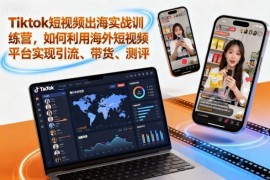 TikTok短视频出海实战训练营 海外平台引流带货测评全攻略
