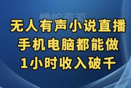 抖音无人有声小说直播操作指南 手机电脑均可做盈利方法揭秘