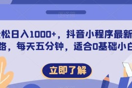 适合0基础小白的抖音小程序赚钱新思路 每天仅需5分钟操作
