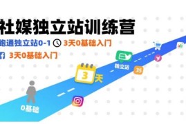 0基础3天社媒独立站训练营 跑通独立站0到1运营全流程