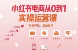 小红书电商从0到1实操运营教程 开店选品流量运营全流程讲解
