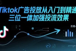 TikTok广告投放从入门到精通 三位一体策略强化投流效果