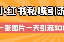 小红书私域引流实操技巧 单账号单张图片单日可引流300+