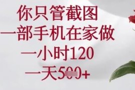 在家用手机即可操作的截图赚钱项目 新手零门槛易上手