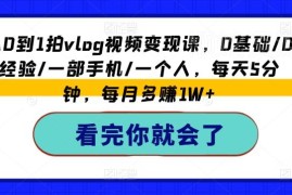 0基础手机拍Vlog全教程 涵盖剪辑运营及多渠道变现实操方法