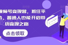 2024微信视频号变现运营课程 普通人从零学带货实操入门
