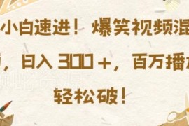 爆笑视频混剪实操教程 小白易上手获高播放提升副业收入